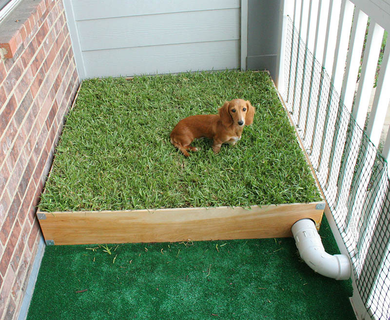 Dog Porch Potty DIY
 14 DIY Dog Porch Potty & Grass Box Projects