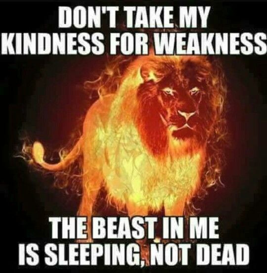 Don'T Take My Kindness For Weakness Quotes
 68 best images about Quotes everywhere on Pinterest