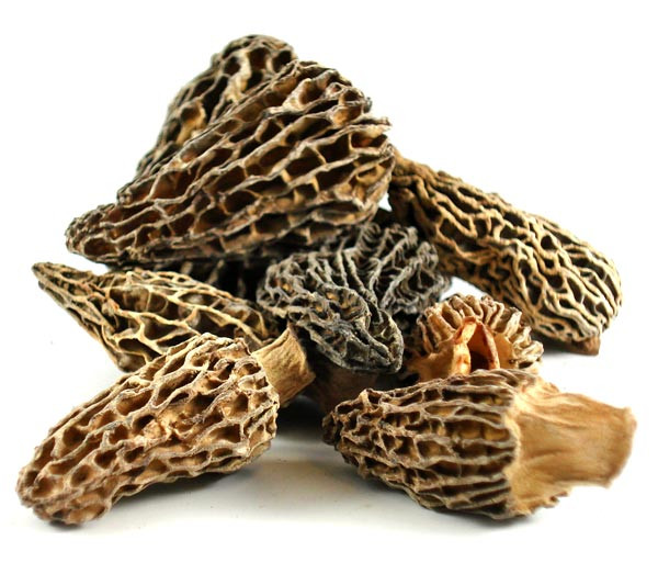 Dried Morel Mushrooms
 Our Annual January Dried Morel Sale is ON Oregon Truffle