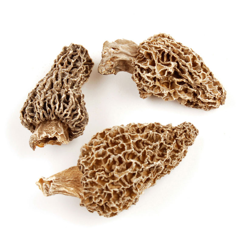 Dried Morel Mushrooms
 Dried Morel Mushrooms