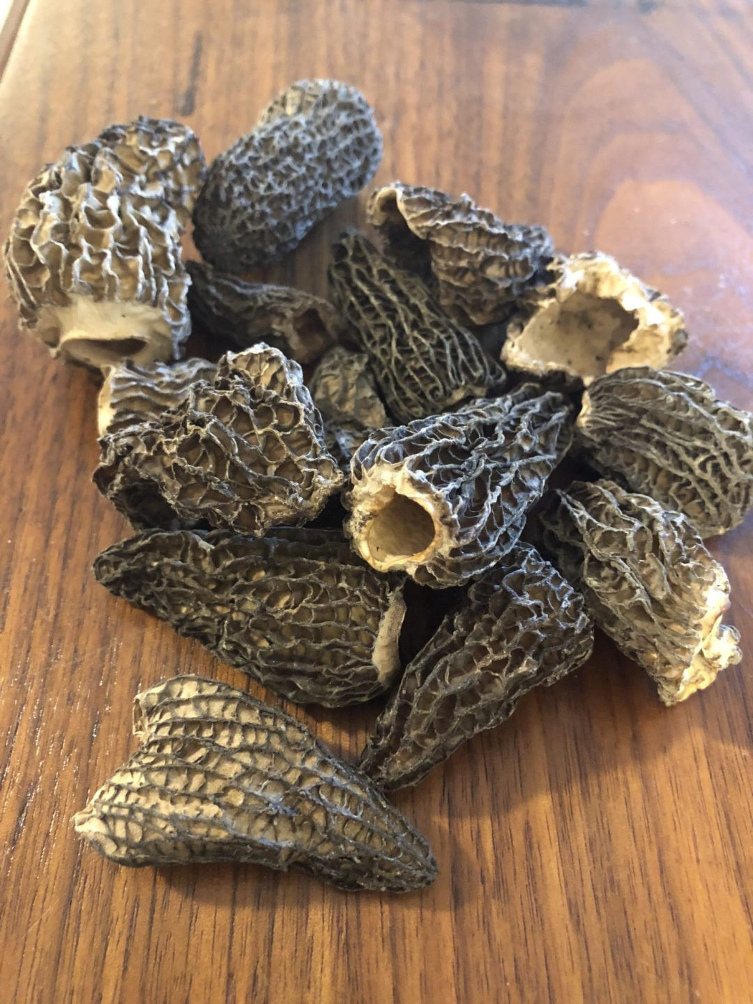 Dried Morel Mushrooms
 Buy Dried Mushrooms