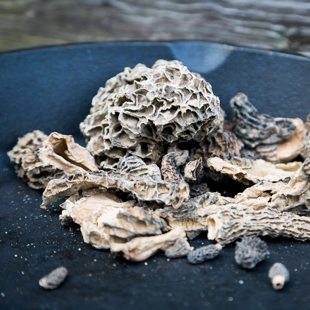 Dried Morel Mushrooms
 Dried Morel Mushrooms Next Day Delivery – Smithy