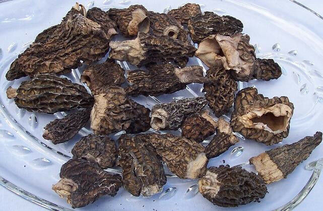 Dried Morel Mushrooms
 Dried Morel Mushrooms 2016 All Natural 1 2 4 8 & 16