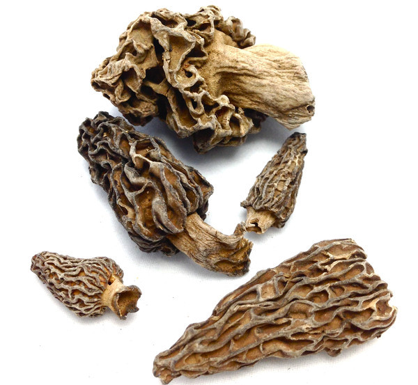 Dried Morel Mushrooms
 Dried Morel Mushrooms by The Truffle Market Smoky Nutty