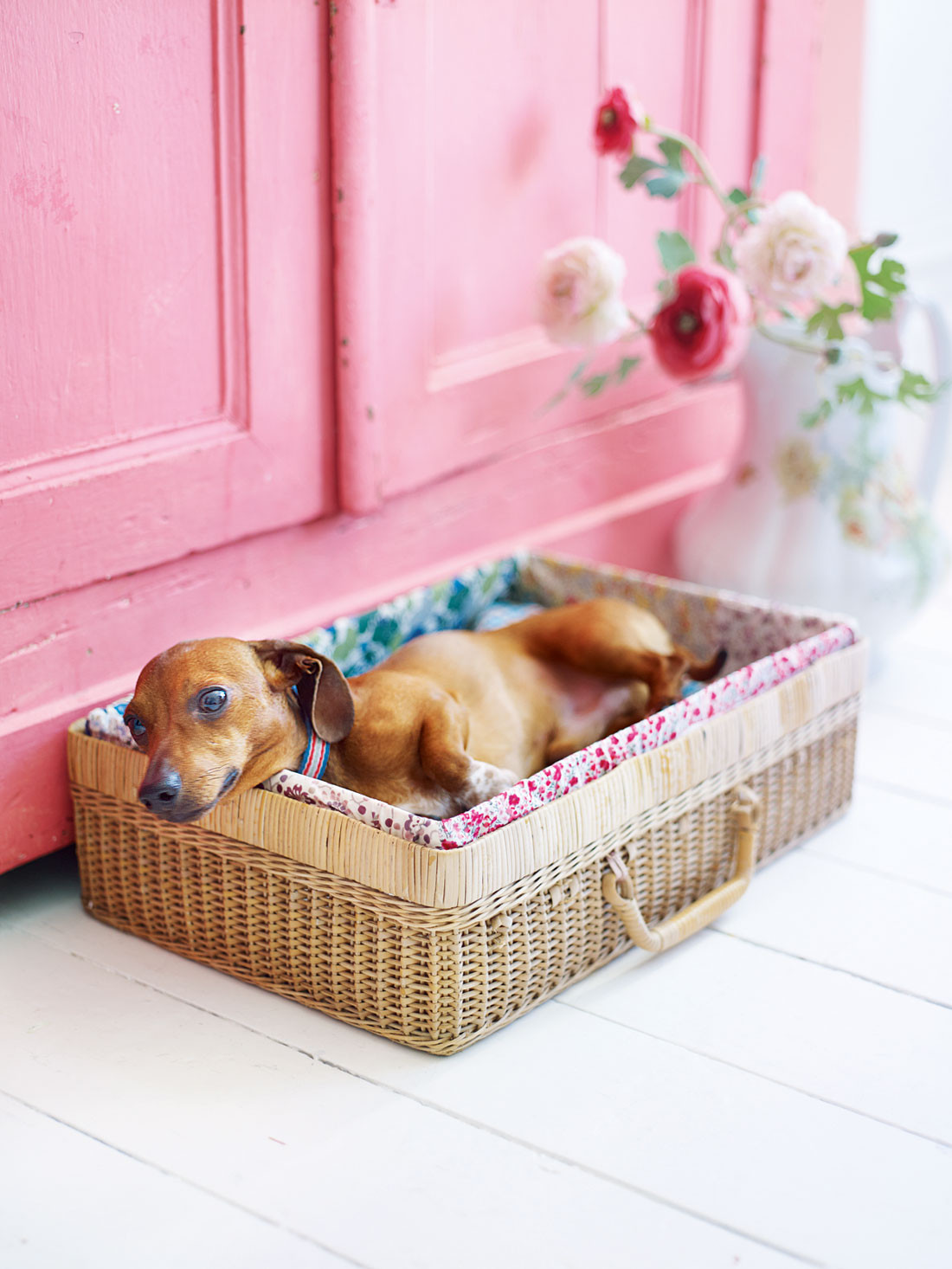 Easy DIY Dog Beds
 DIY dog beds