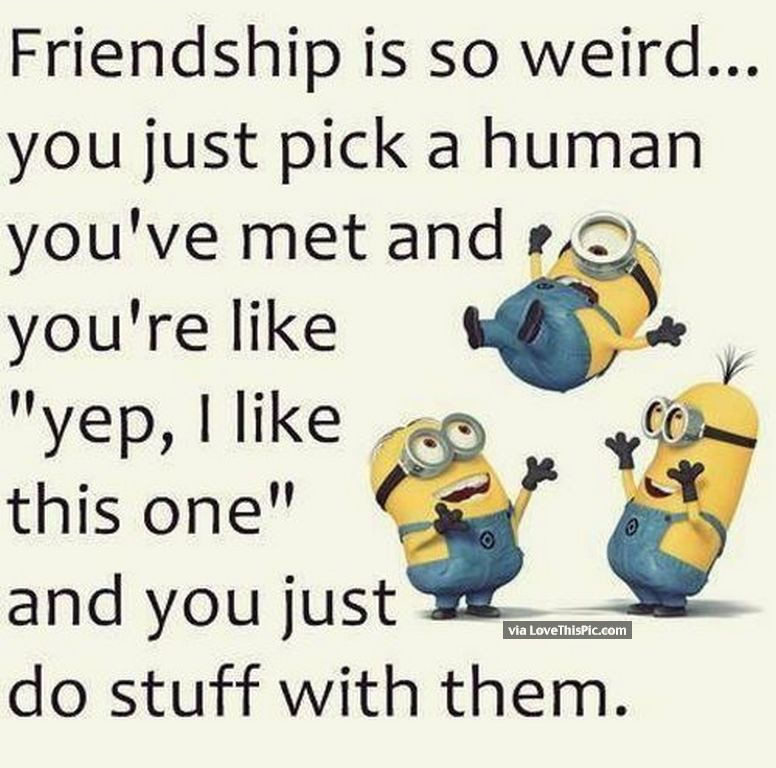 Friendship Meme Quotes
 Friendship Minion Quote s and for
