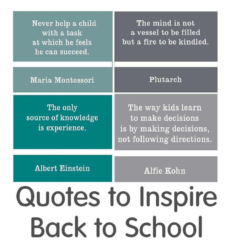 Funny Back To School Quotes
 Back To School Quotes We Need Fun