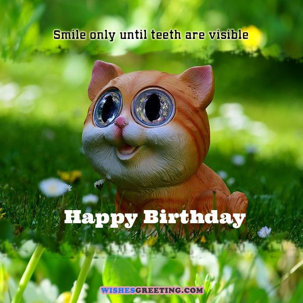 Funny Birthday Greetings
 105 Funny Birthday Wishes and Messages