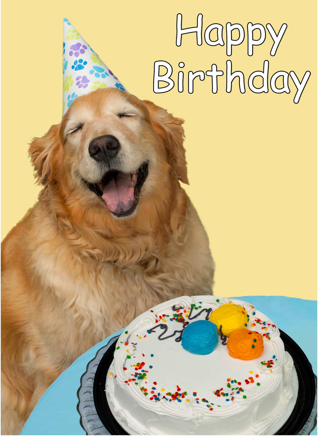 Funny Dog Birthday Wishes
 Sweet Dog Wishing Happy Birthday