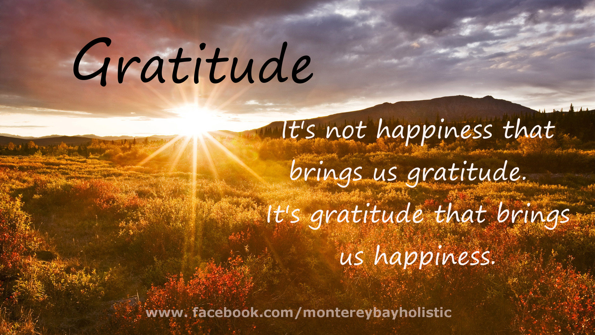 Grateful Thanksgiving Quotes
 20 Best Gratitude Quotes