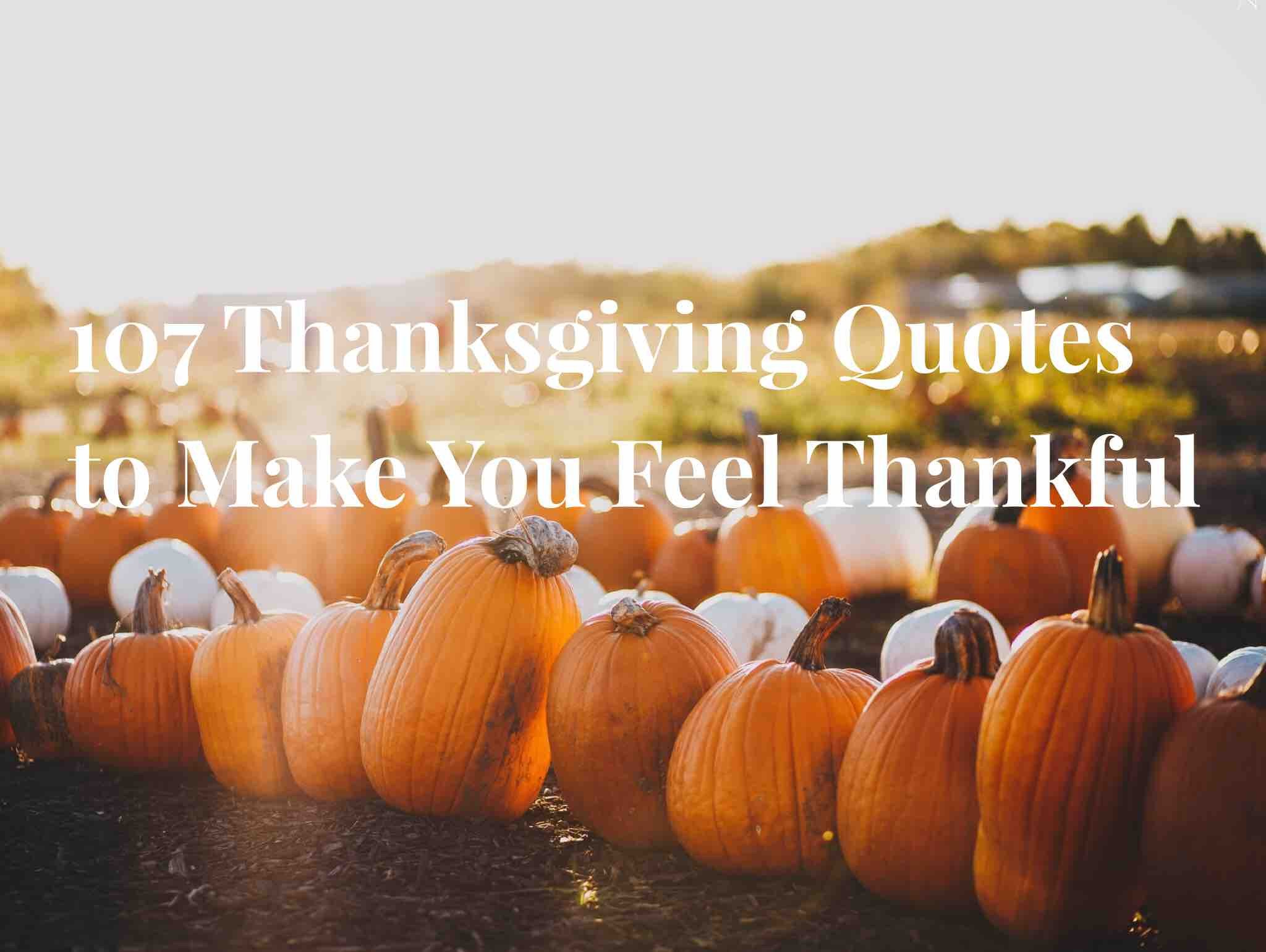 Grateful Thanksgiving Quotes
 107 Thanksgiving Quotes to Make You Feel Thankful