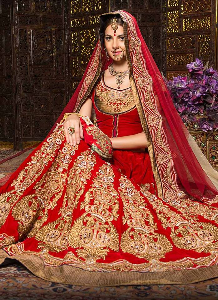 Indian Wedding Gown
 30 ROYAL INDIAN WEDDING DRESSES CANT GET BETTER THAN THIS