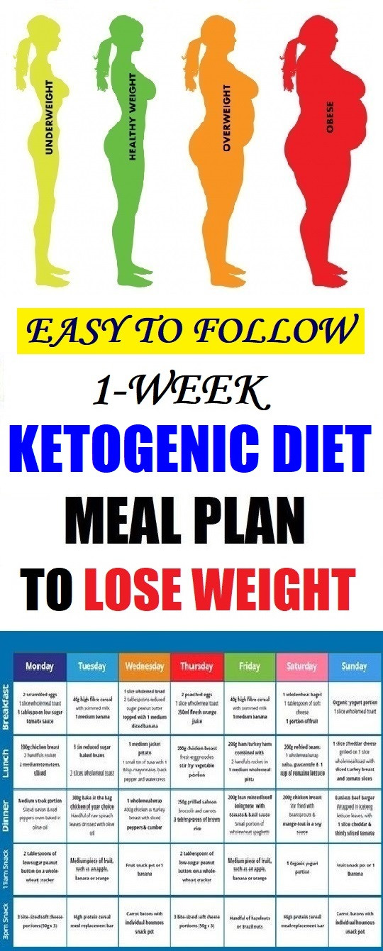 Keto Diet Meal Plans
 Easy To Follow e Week Ketogenic Diet Meal Plan To Lose