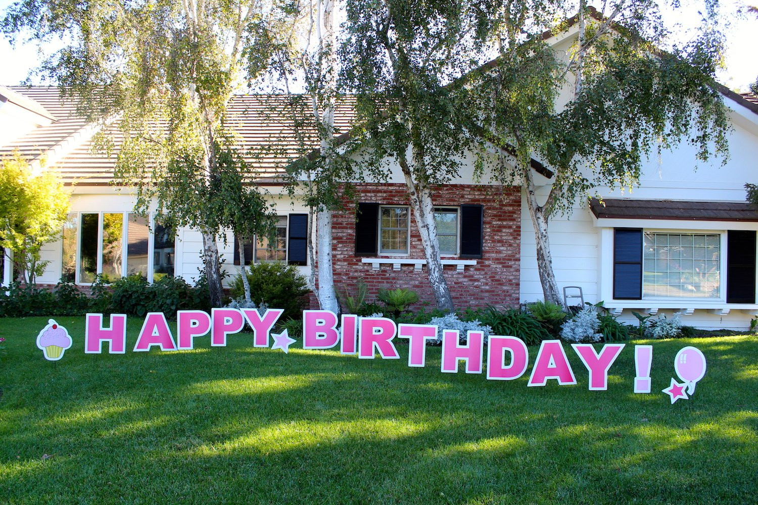 Lawn Decorations For Birthday
 Amazon VictoryStore Yard Sign Outdoor Lawn