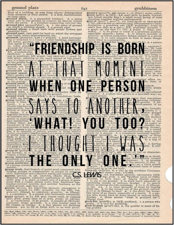 Literary Quotes About Friendship
 C S Lewis friendship literary quote by