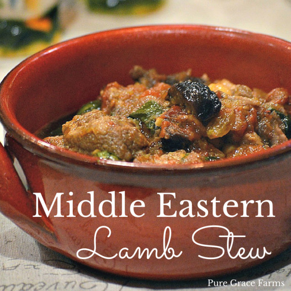 Middle East Lamb Stew
 Middle Eastern Lamb Stew Pure Grace Farms