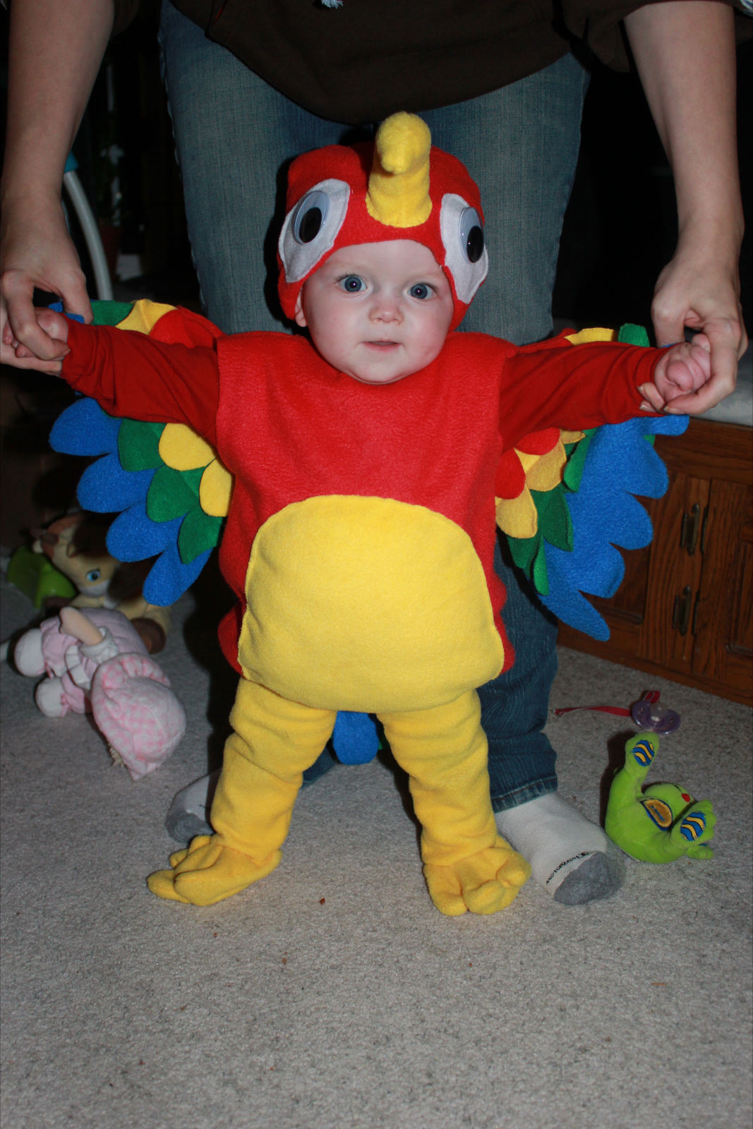 Parrot Costume DIY
 Parker Want a Cracker w Mini Tutorial – Everything Your