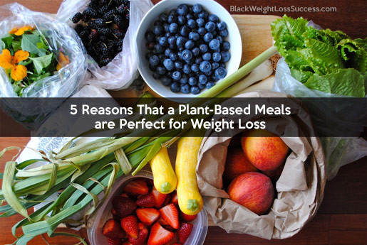 Plant Based Recipes For Weight Loss
 5 Reasons That a Plant Based Meals are Perfect for Weight
