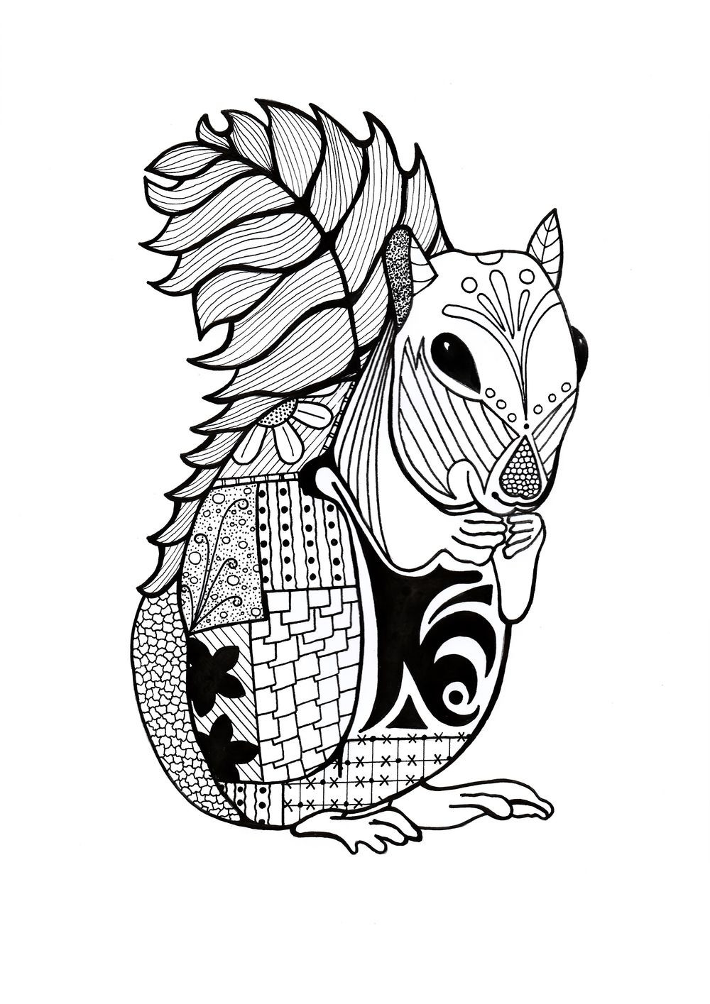 Printable Animal Coloring Pages For Adults
 Intricate Squirrel Adult Coloring Page