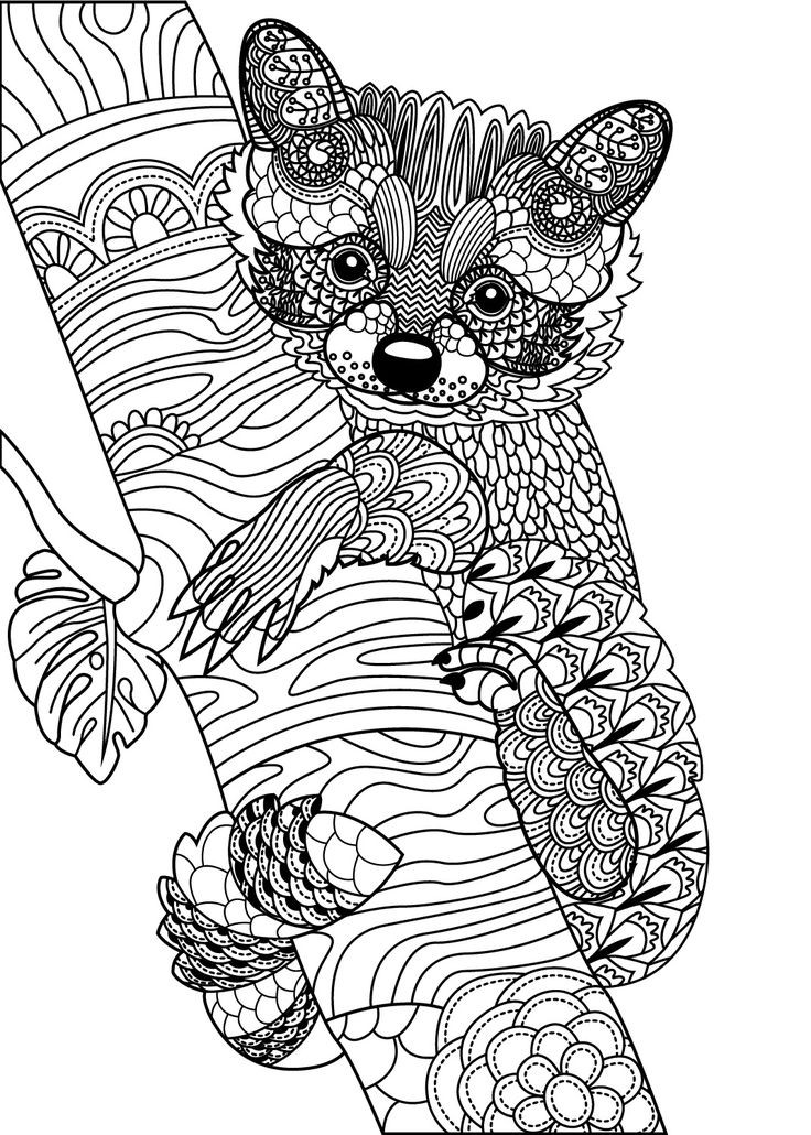 Printable Animal Coloring Pages For Adults
 Wild Animals to color