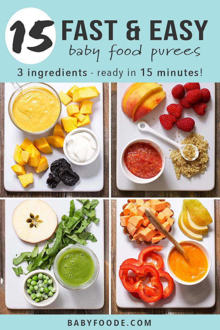 Puree Baby Food Recipes
 15 Fast Baby Food Recipes made in under 15 minutes