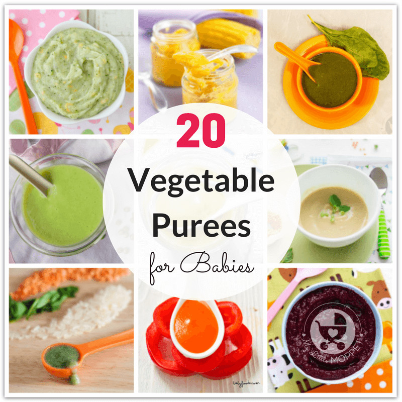 Puree Baby Food Recipes
 20 Quick and Easy Ve able Purees for Babies