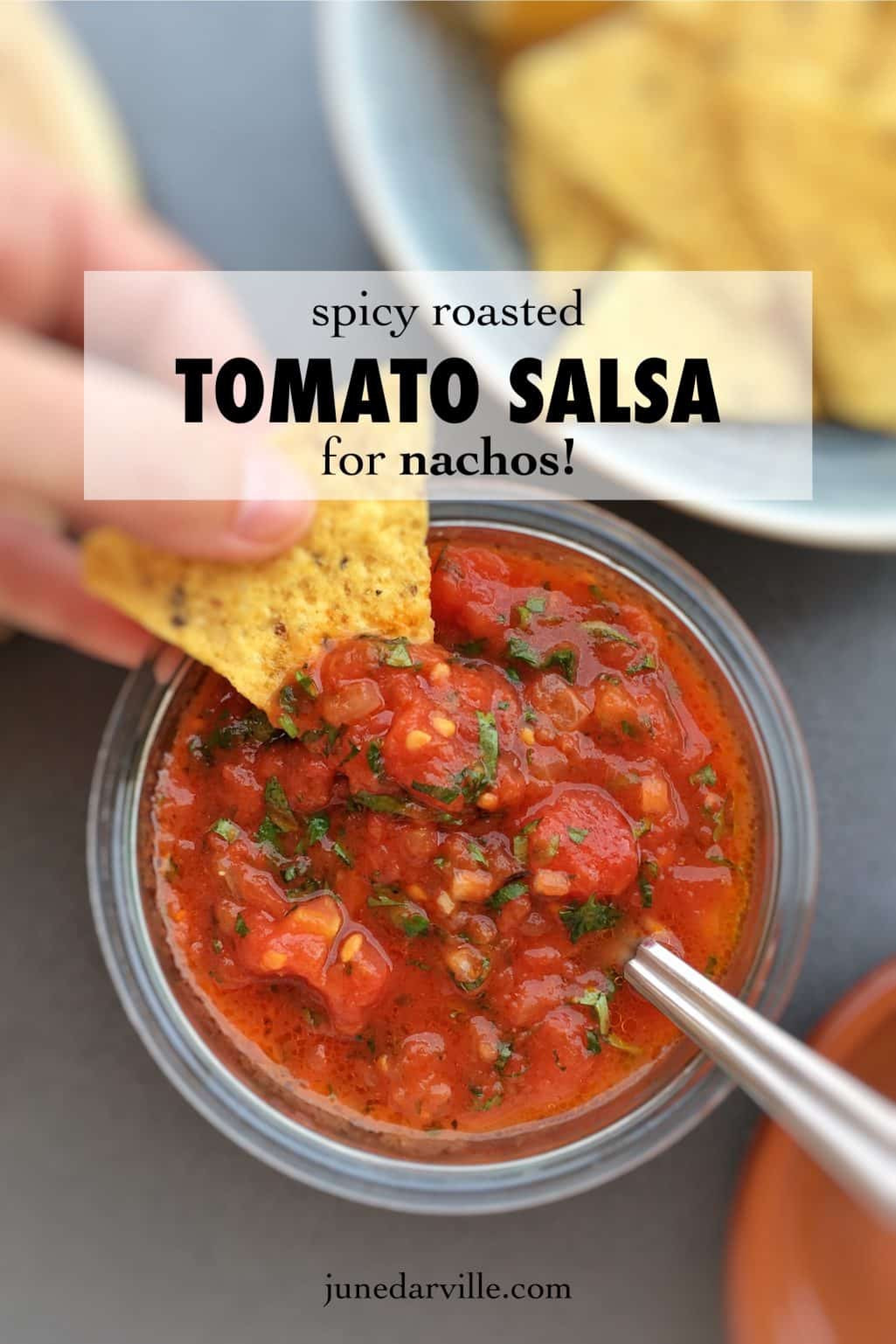 Recipe For Salsa
 Spicy Roasted Tomato Salsa Recipe