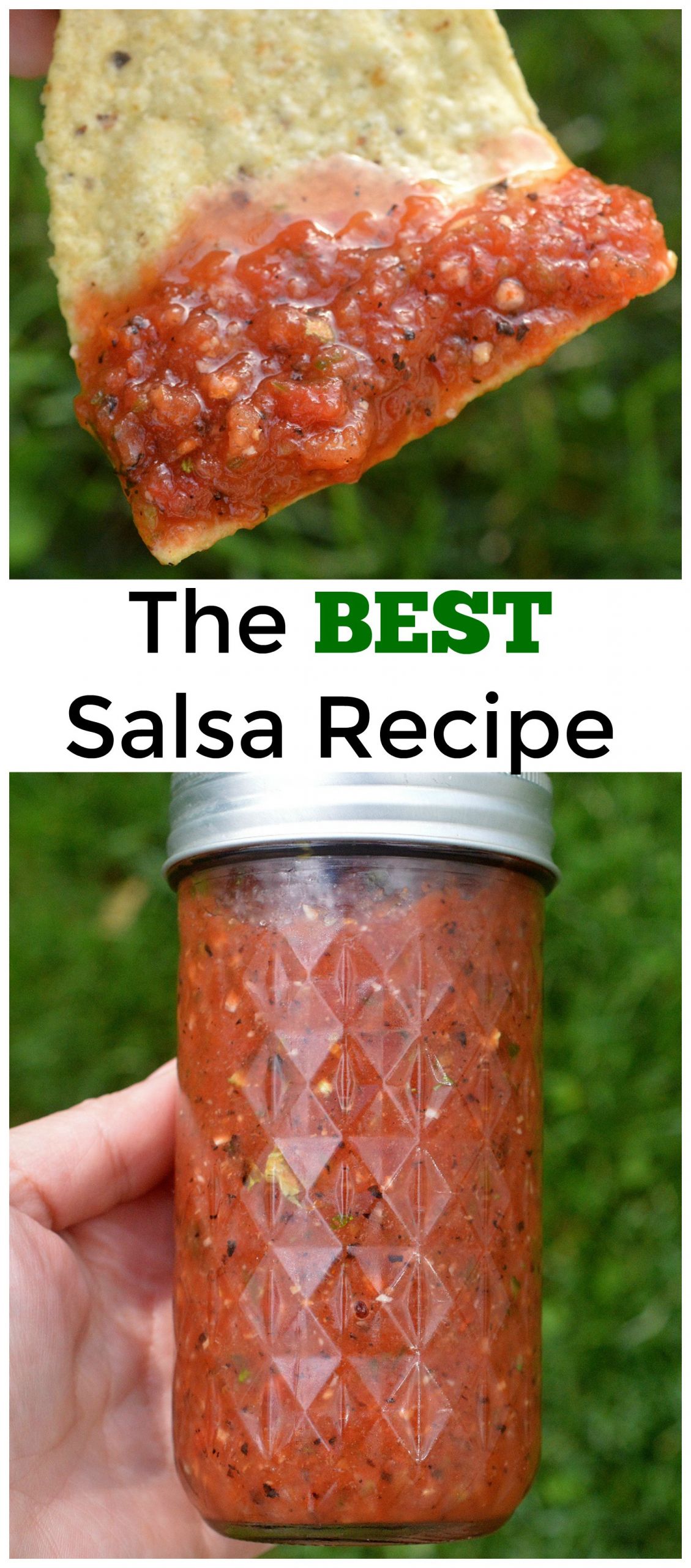Recipe For Salsa
 The BEST and Easiest Salsa Recipe