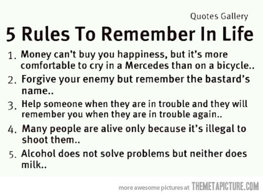 Sarcastic Quotes About Life Lessons
 Funny Quotes About Life Lessons QuotesGram