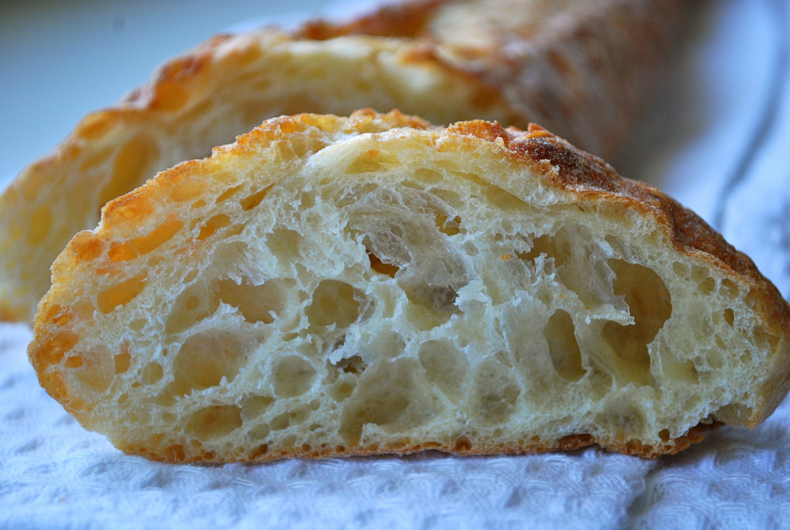 Sourdough French Bread
 sourdough starter
