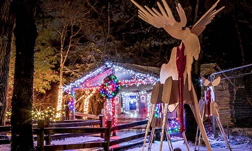 Stone Zoo Christmas Lights
 Holiday Events in Stoneham EXPLORE STONEHAM