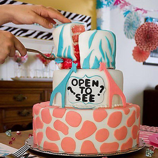 Surprise Gender Reveal Party Ideas
 10 of the most outrageous gender reveal party ideas