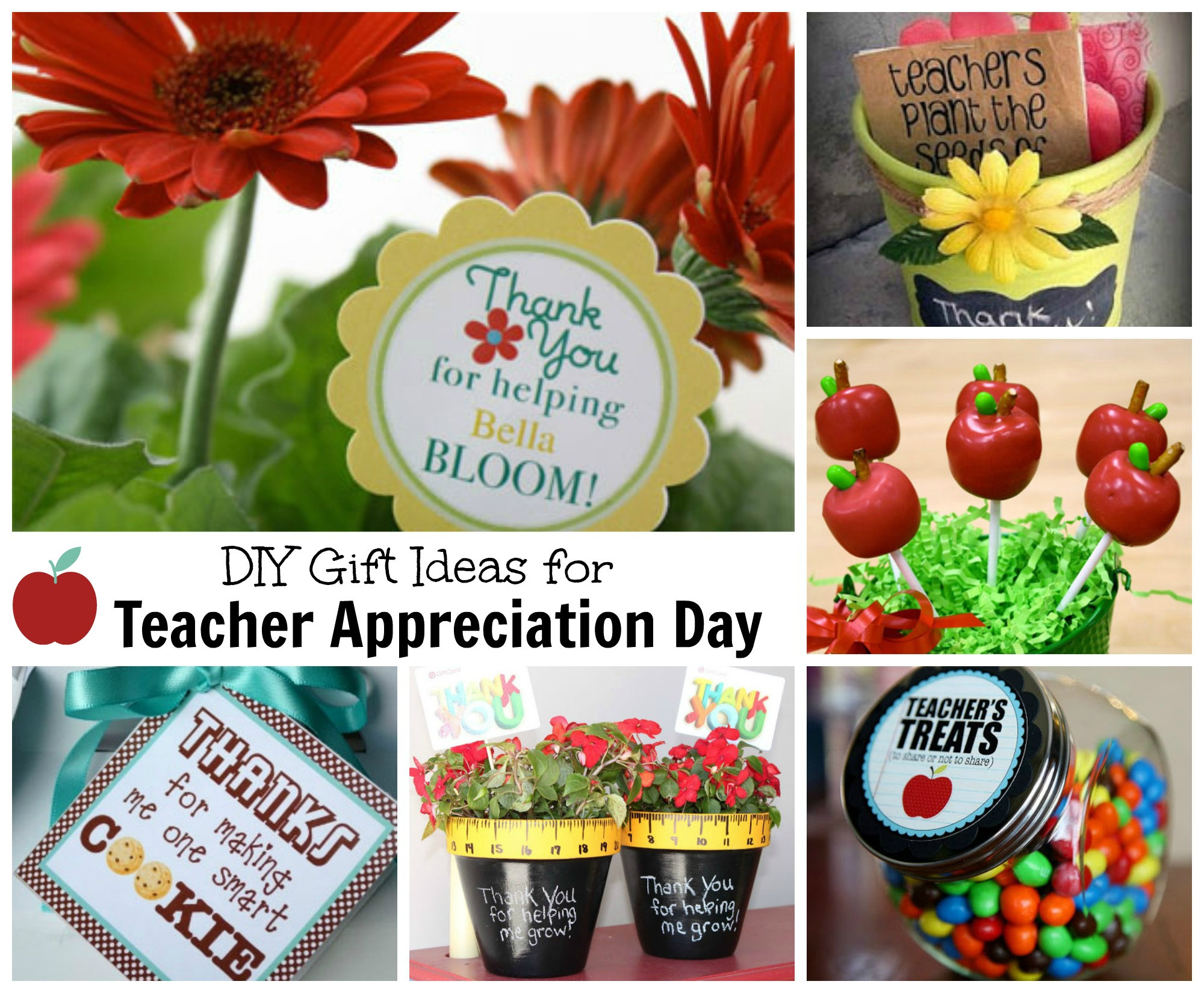 Teachers Day Gift Ideas DIY
 Teacher Appreciation Gift Ideas