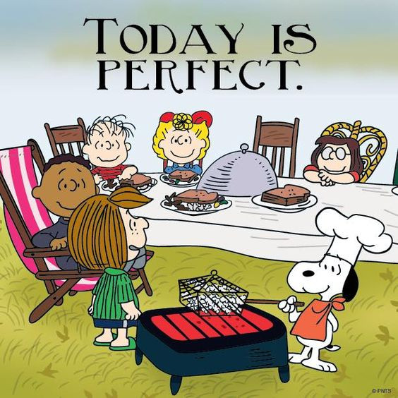 Thanksgiving Quotes Peanuts
 Snoopy Thanksgiving and Peanuts on Pinterest