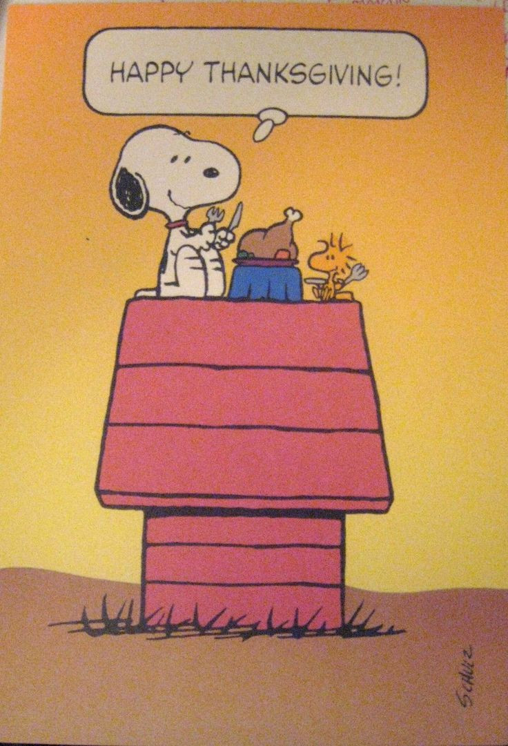 Thanksgiving Quotes Peanuts
 550 best Thanksgiving Graphics images on Pinterest