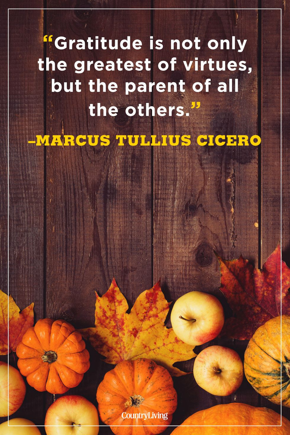 Thanksgiving Quotes Thanksgivingquotes
 90 Famous "Happy Thanksgiving Quotes" for Friends and Family