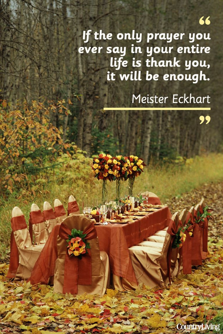 Thanksgiving Quotes Thanksgivingquotes
 25 Best Thanksgiving Day Quotes Happy Thanksgiving Toast