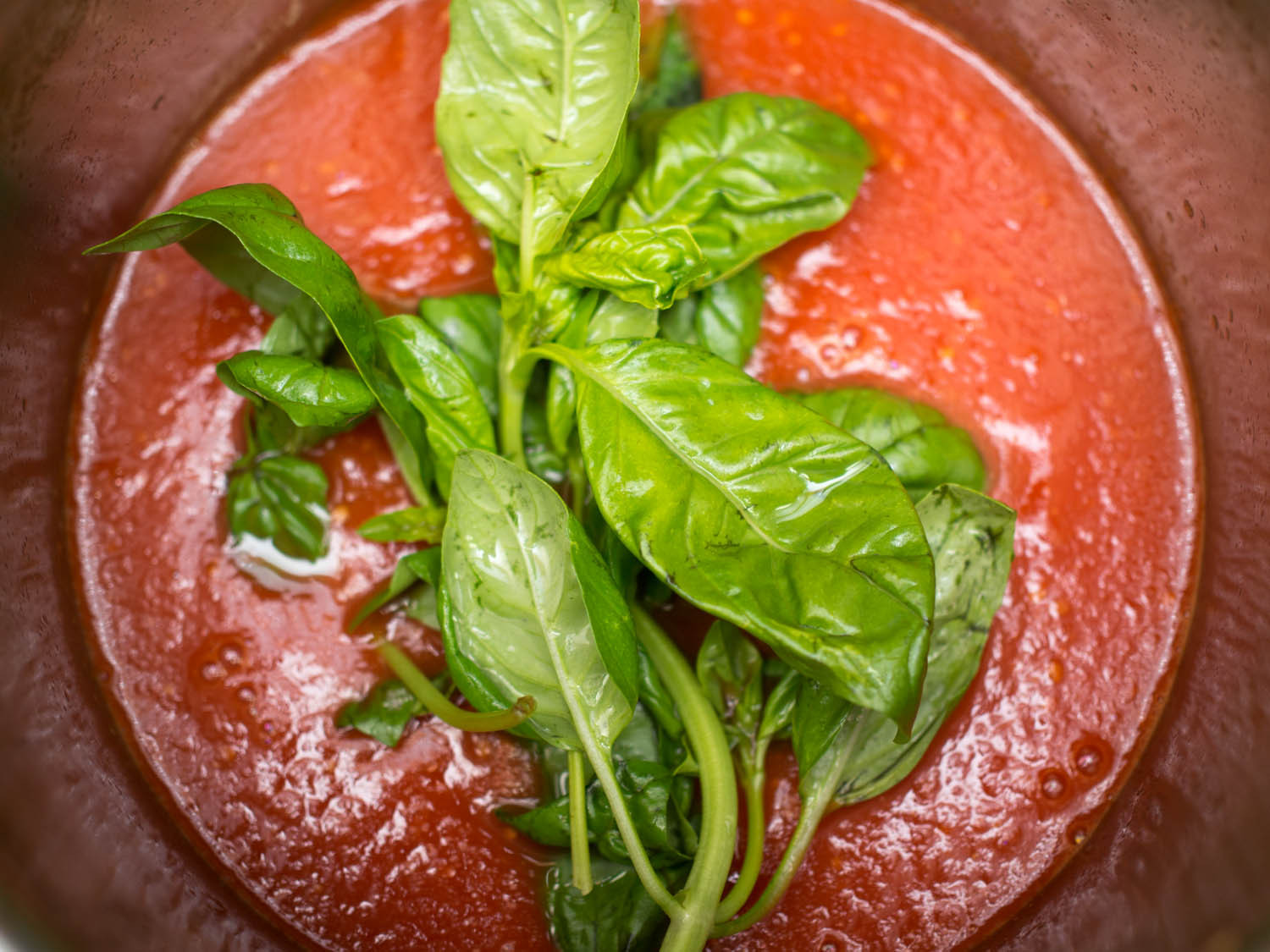 Tomato Sauce From Fresh Tomatoes
 The Best Fresh Tomato Sauce Recipe