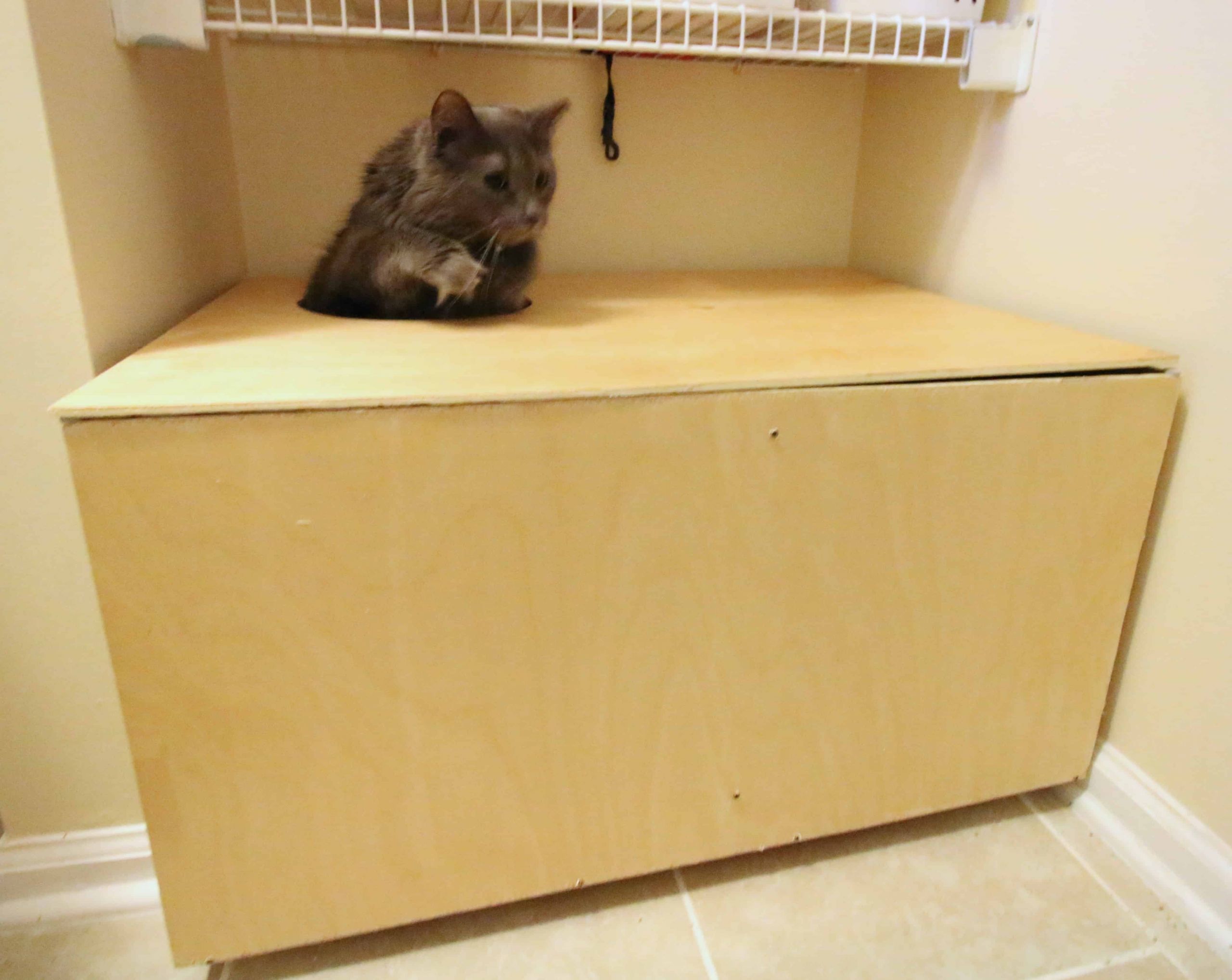 Top Entry Litter Box DIY
 DIY Wooden Top Entry Cat Litter Box