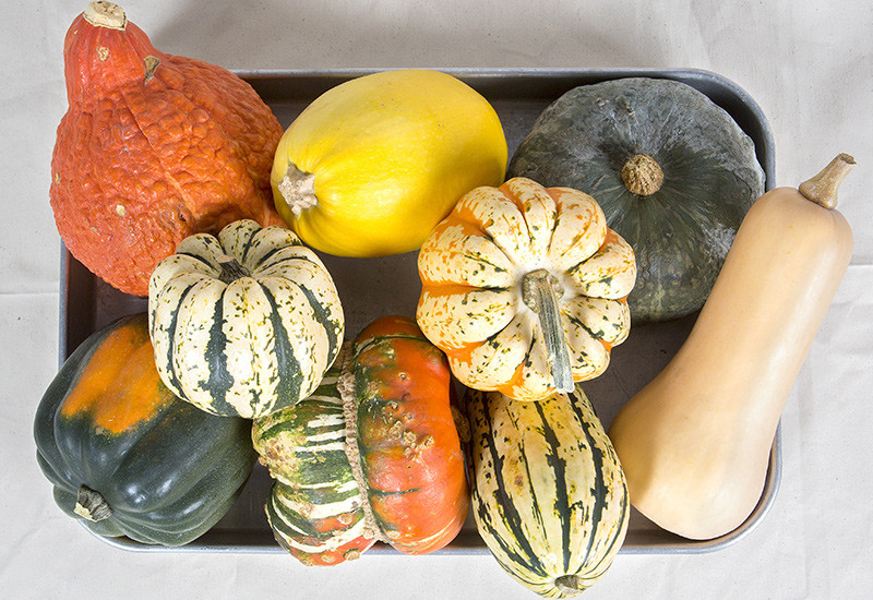 Winter Squash Types
 Our Favorite Varieties of Winter Squash A Fresh Take