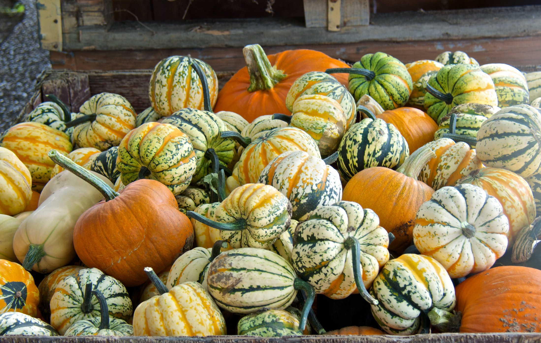 Winter Squash Types
 Guide to Winter Squash Varieties
