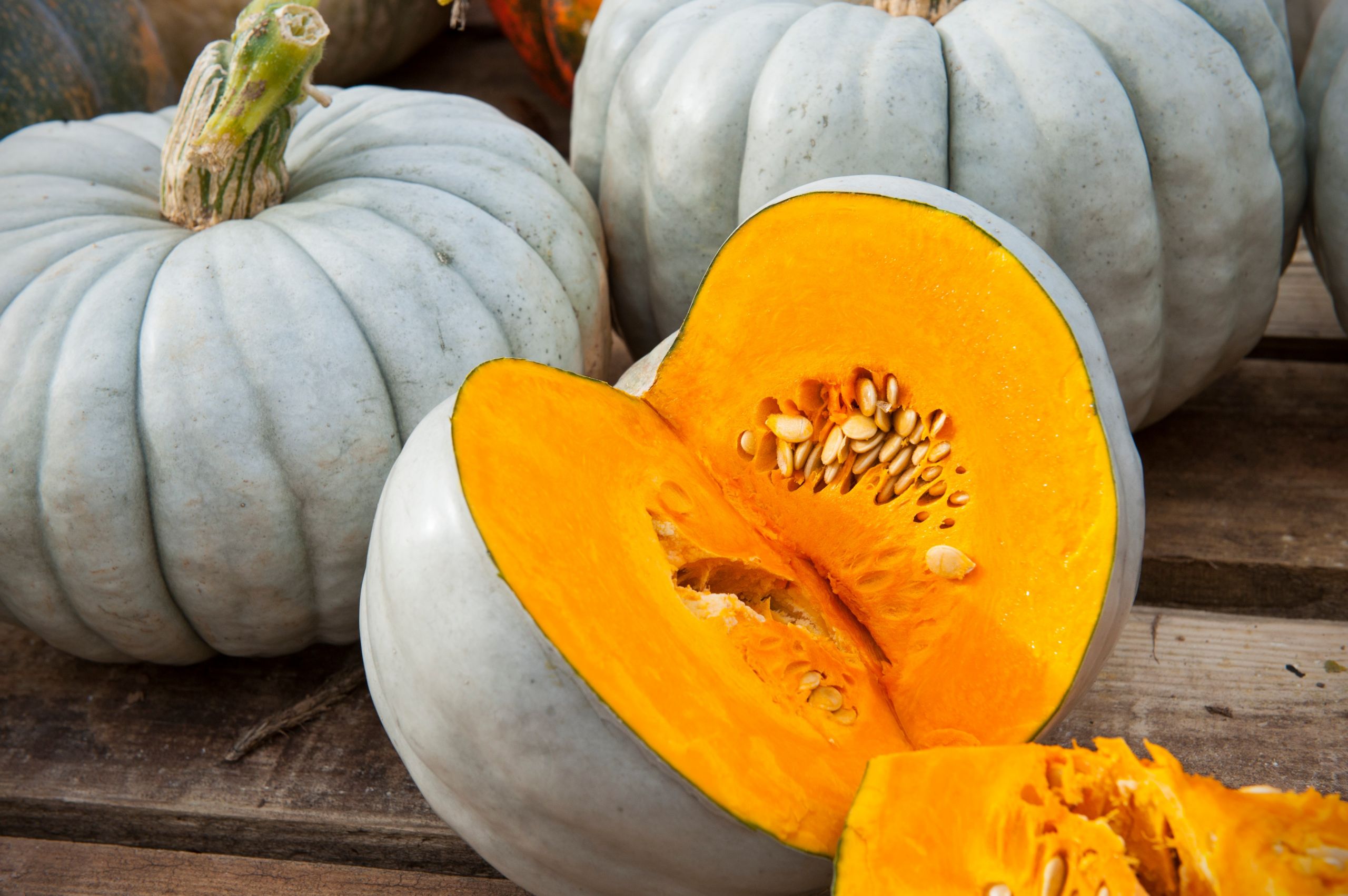 Winter Squash Types
 10 pumpkin and winter squash varieties you should know