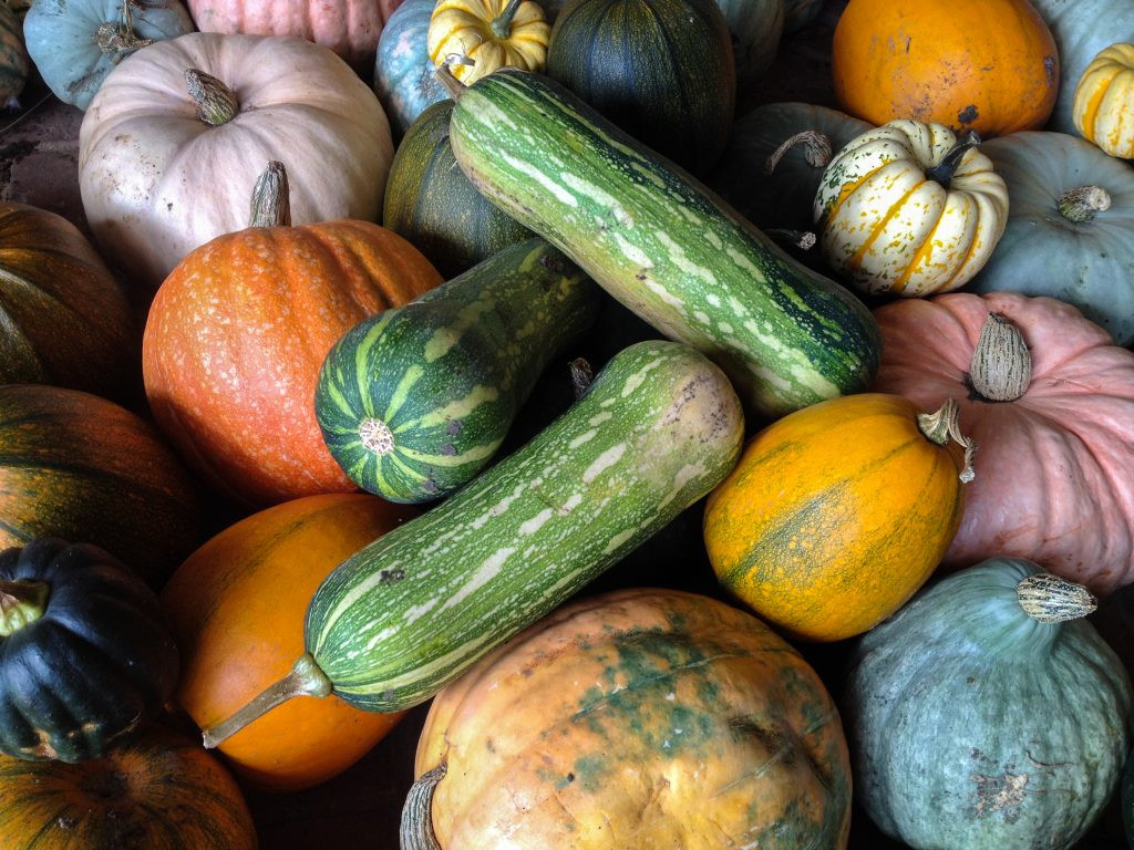Winter Squash Types
 Gourd almighty a guide to winter squash Jamie Oliver