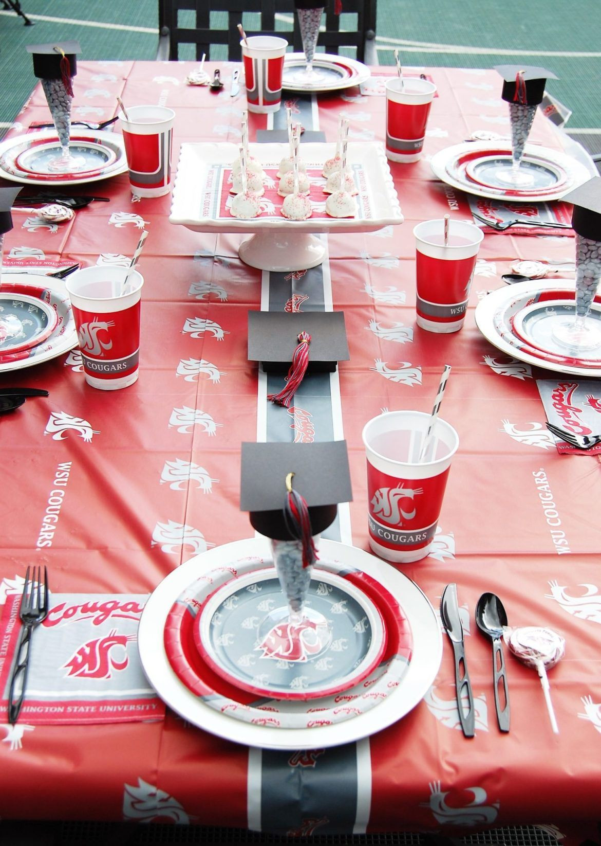 15 Genius Graduation Party Ideas
 15 Graduation Party Ideas You Wish Your Parents Tried