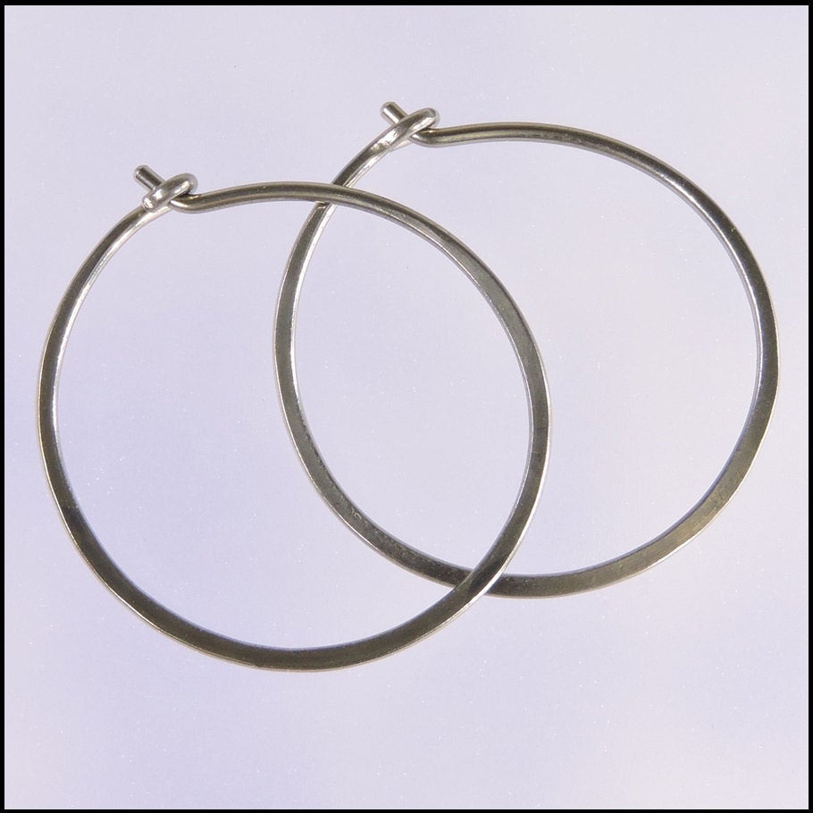 18 Gauge Earrings
 18 gauge niobium earrings 1 inch diameter hoops small