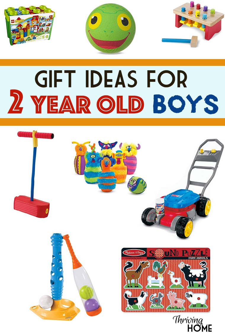 2 Year Old Boy Birthday Gift Ideas
 Gift Ideas for a Two Year Old Boy