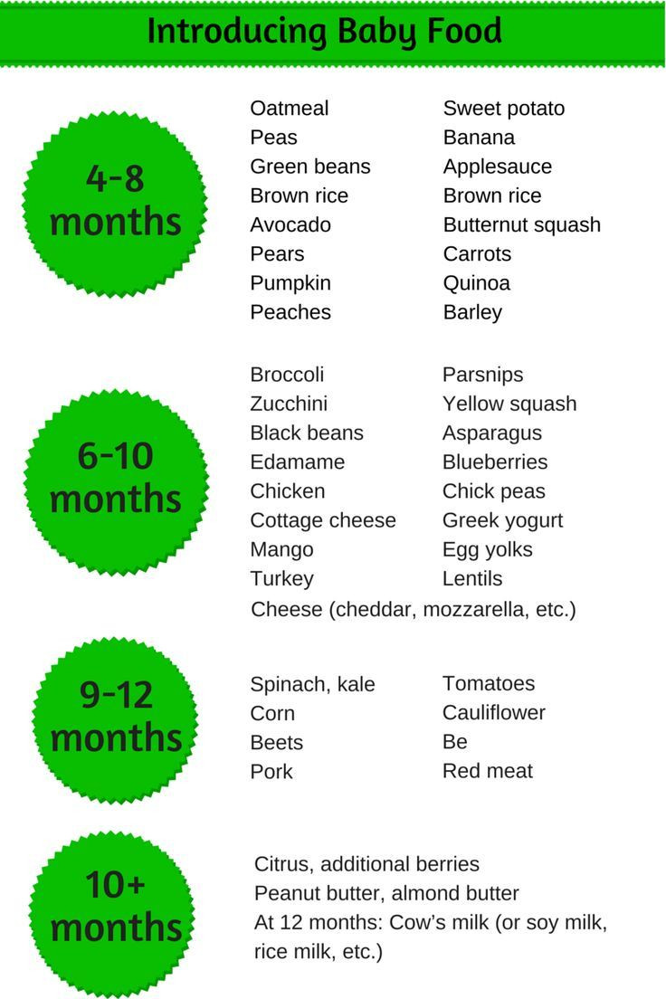 4 Month Old Baby Food Recipes
 Homemade baby food introducing solids schedule