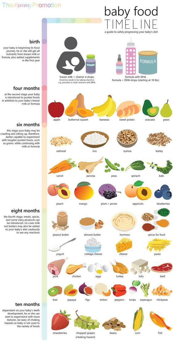 4 Month Old Baby Food Recipes
 Baby Food Timeline Allowed Foods for Baby Birth to 10