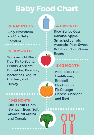 4 Month Old Baby Food Recipes
 Food ideas for your 4 to 6 month old baby