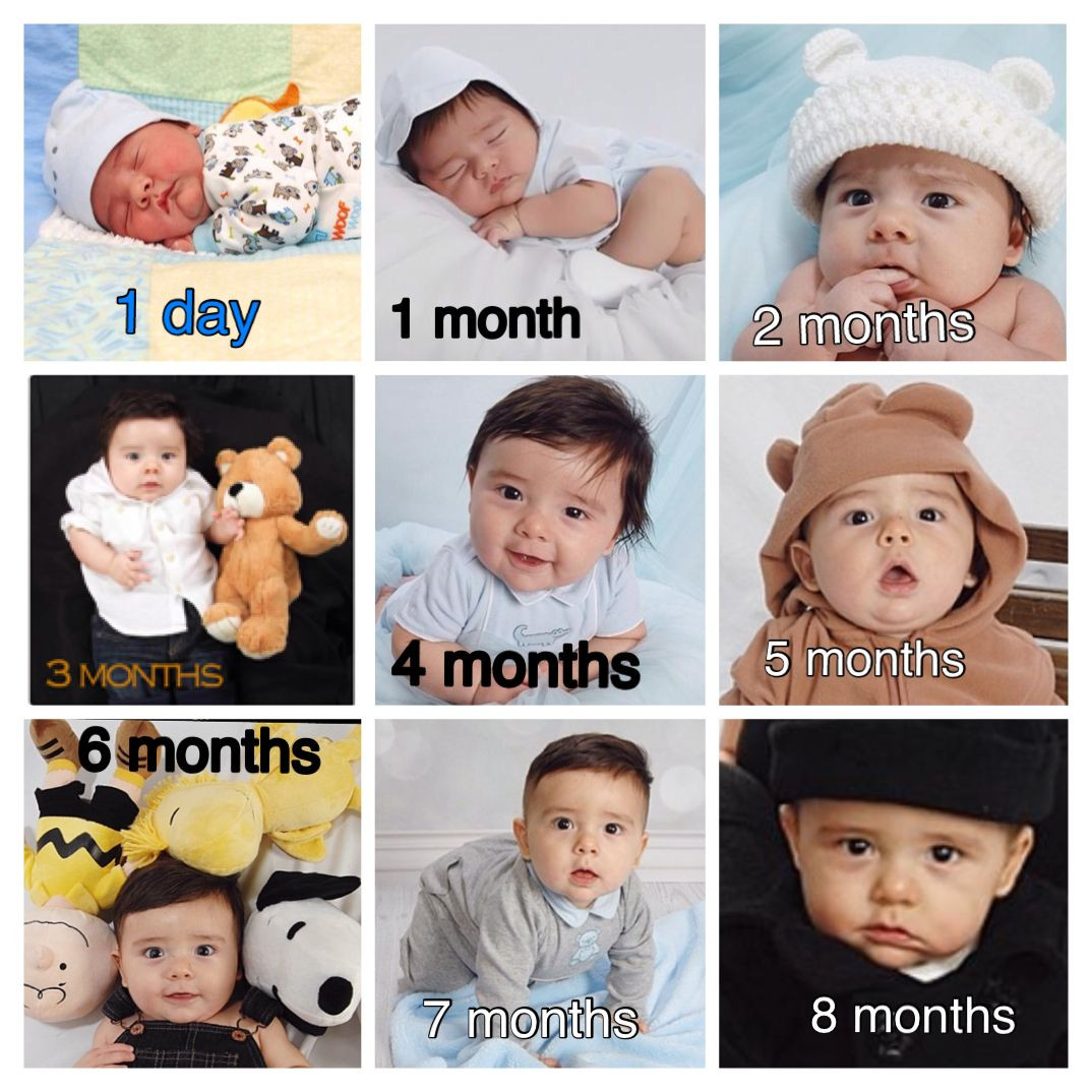 4 Months Old Baby Quotes
 Baby growth 1 day old 1 month old 2 months old 3 months